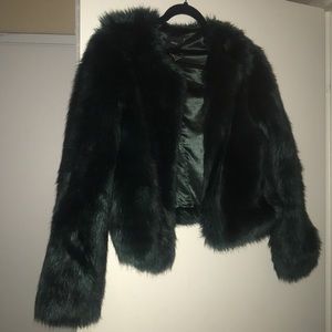 Winter Fur coat